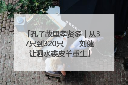 孔子故里孝贤多｜从37只到320只——刘健让泗水裘皮羊重生