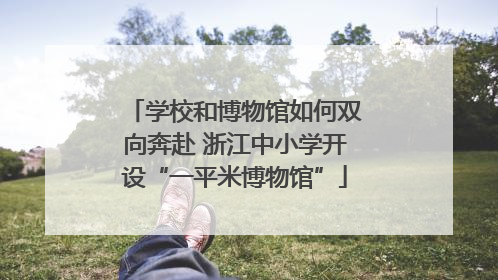 学校和博物馆如何双向奔赴 浙江中小学开设“一平米博物馆”