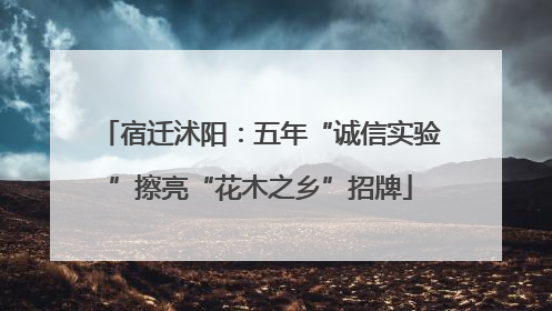 宿迁沭阳：五年“诚信实验”擦亮“花木之乡”招牌