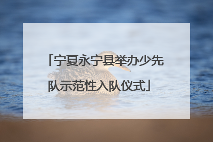 宁夏永宁县举办少先队示范性入队仪式