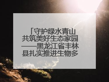守护绿水青山 共筑美好生态家园——黑龙江省丰林县扎实推进生物多样性保护工作