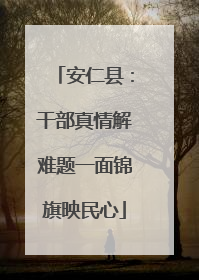 安仁县：干部真情解难题一面锦旗映民心