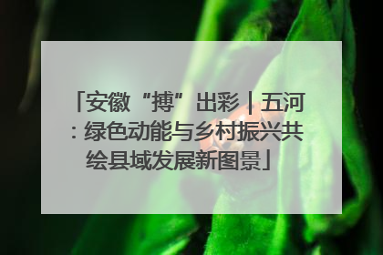 安徽“搏”出彩｜五河：绿色动能与乡村振兴共绘县域发展新图景