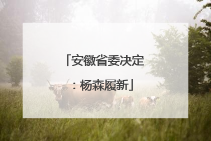 安徽省委决定：杨森履新