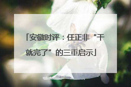 安徽时评：任正非“干就完了”的三重启示