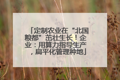 定制农业在“北国粮都”茁壮生长！企业：用算力指导生产，扁平化管理种地