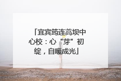 宜宾筠连蒿坝中心校：心“芽”初绽，自暖成光