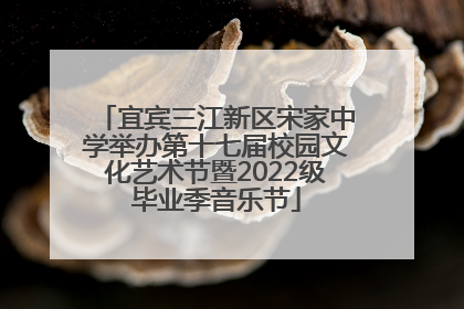 宜宾三江新区宋家中学举办第十七届校园文化艺术节暨2022级毕业季音乐节