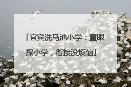 宜宾洗马池小学：童眼探小学，衔接没烦恼