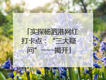 实探杨泗港网红打卡点：“三大疑问”一一揭开