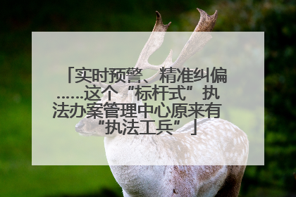 实时预警、精准纠偏……这个“标杆式”执法办案管理中心原来有“执法工兵”