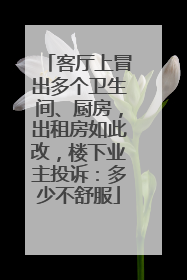 客厅上冒出多个卫生间、厨房，出租房如此改，楼下业主投诉：多少不舒服