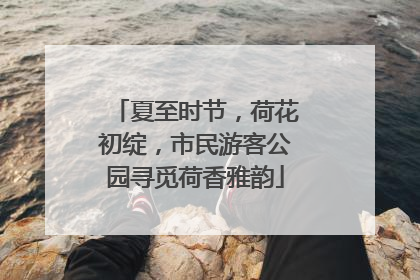 夏至时节，荷花初绽，市民游客公园寻觅荷香雅韵