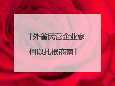 外省民营企业家何以扎根商南