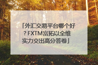 外汇交易平台哪个好？FXTM富拓以全维实力交出高分答卷