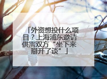 外资想投什么项目？上海浦东邀请供需双方“坐下来掰开了谈”
