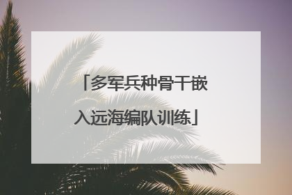 多军兵种骨干嵌入远海编队训练