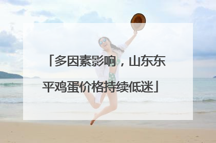 多因素影响，山东东平鸡蛋价格持续低迷