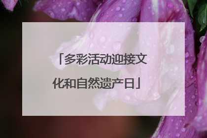多彩活动迎接文化和自然遗产日