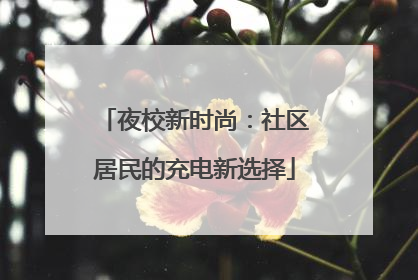 夜校新时尚：社区居民的充电新选择
