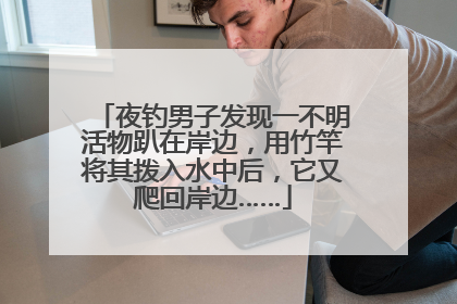 夜钓男子发现一不明活物趴在岸边，用竹竿将其拨入水中后，它又爬回岸边……