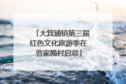 大箕铺镇第三届红色文化旅游季在曹家晚村启幕