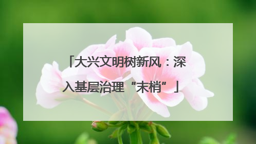 大兴文明树新风：深入基层治理“末梢”
