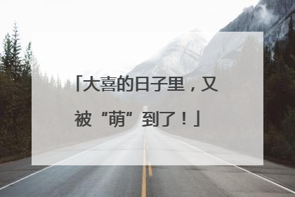 大喜的日子里，又被“萌”到了！