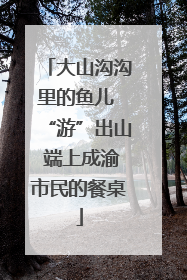 大山沟沟里的鱼儿 “游”出山 端上成渝市民的餐桌