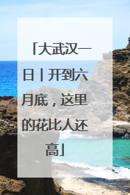 大武汉一日︱开到六月底，这里的花比人还高