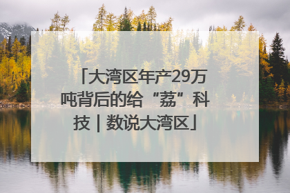 大湾区年产29万吨背后的给“荔”科技｜数说大湾区