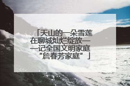 天山的一朵雪莲在聊城灿烂绽放——记全国文明家庭“詹春芳家庭”