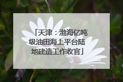 天津：渤海亿吨级油田海上平台陆地建造工作收官