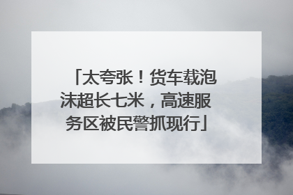 太夸张！货车载泡沫超长七米，高速服务区被民警抓现行