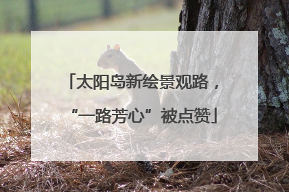 太阳岛新绘景观路，“一路芳心”被点赞