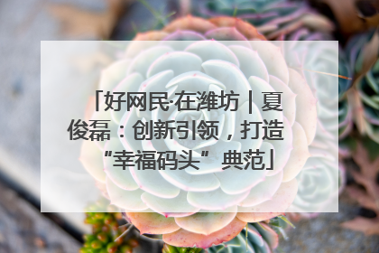 好网民·在潍坊｜夏俊磊：创新引领，打造“幸福码头”典范