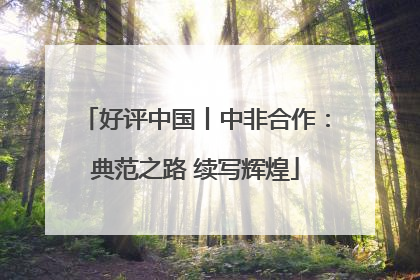 好评中国丨中非合作：典范之路 续写辉煌