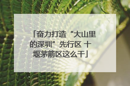 奋力打造“大山里的深圳”先行区 十堰茅箭区这么干