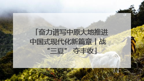 奋力谱写中原大地推进中国式现代化新篇章丨战“三夏” 夺丰收