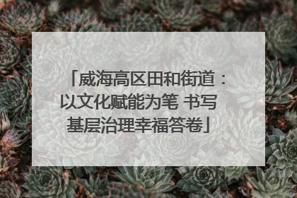 威海高区田和街道：以文化赋能为笔 书写基层治理幸福答卷