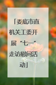 娄底市直机关工委开展“七一”走访慰问活动