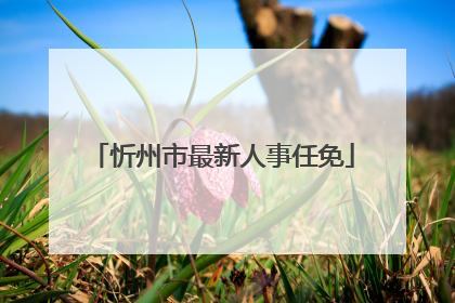 忻州市最新人事任免
