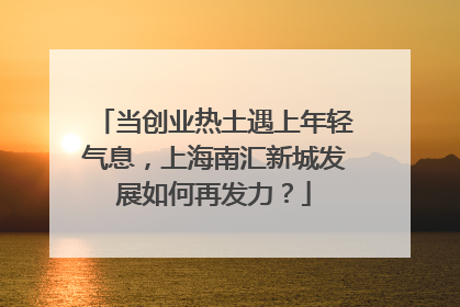 当创业热土遇上年轻气息，上海南汇新城发展如何再发力？