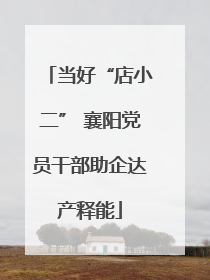 当好“店小二” 襄阳党员干部助企达产释能