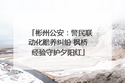 彬州公安：警民联动化赡养纠纷 枫桥经验守护夕阳红