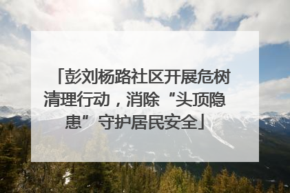 彭刘杨路社区开展危树清理行动，消除“头顶隐患”守护居民安全