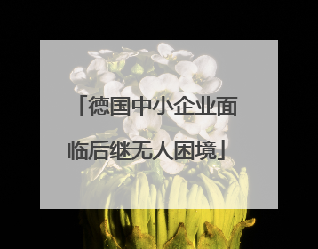 德国中小企业面临后继无人困境