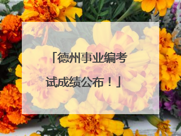 德州事业编考试成绩公布！