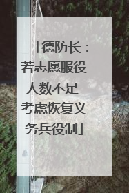 德防长：若志愿服役人数不足 考虑恢复义务兵役制