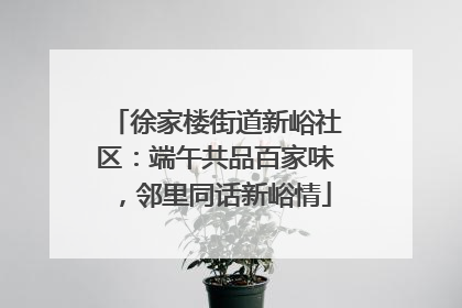 徐家楼街道新峪社区：端午共品百家味，邻里同话新峪情